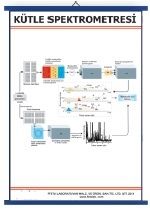 Kütle Spektromesi Levhası