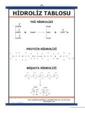 Hidroliz Tablosu