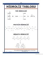 Hidroliz Tablosu