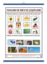 Tohum ve Meyve Çeşitleri Levhası