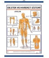 Destek ve Hareket Sistemi Levhası