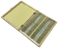 Mikroskop Slayt Seti - Ahşap Kutulu Preperat Seti 100'lü