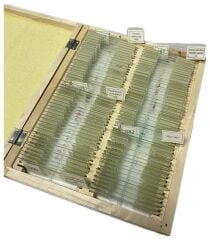 Mikroskop Slayt Seti - Ahşap Kutulu Preperat Seti 100'lü