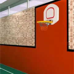 Duvar Basket Potası