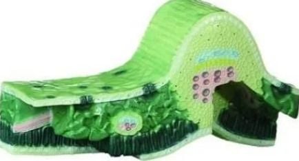 Yaprak Kesiti Modeli