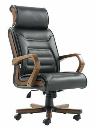 ASTRA MAKAM KOLTUĞU