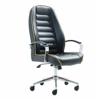 TESLA MAKAM KOLTUĞU