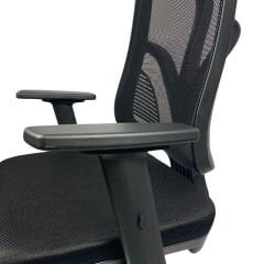 Juss Yönetici Koltuğu