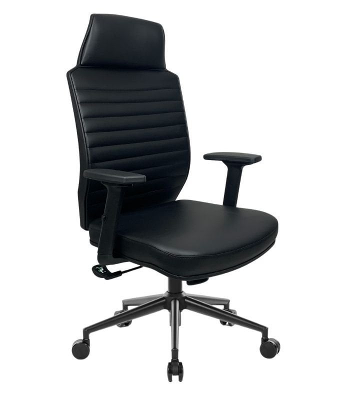 Luna Derili Yönetici Koltuğu