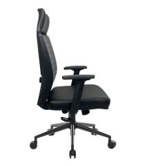 Luna Derili Yönetici Koltuğu