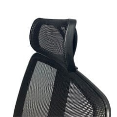 Nona Fileli Yönetici Koltuğu