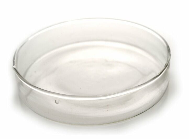 Cam Petri Kabı Ø 100 mm.