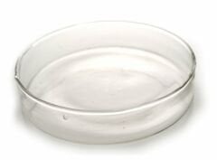 Cam Petri Kabı Ø 100 mm.