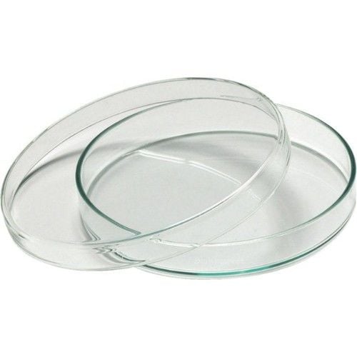 PETRİ KABI( 90 MM ÇAPINDA KAPAKLI PLASTİK)