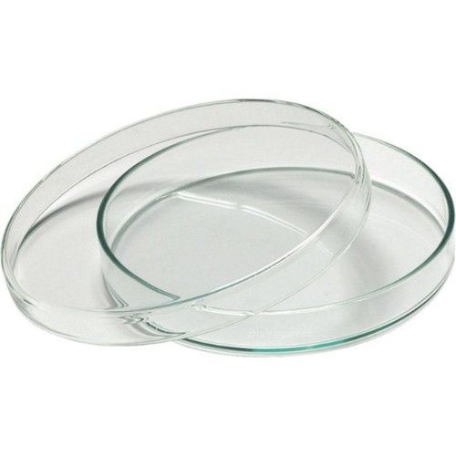 PETRİ KABI( 90 MM ÇAPINDA KAPAKLI PLASTİK)
