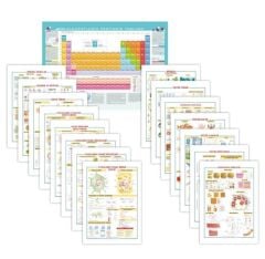 Biyoloji Levhaları 21 Poster