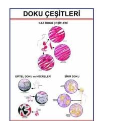 Doku Çeşitleri Levhası