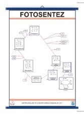 Fotosentez Levhası