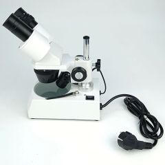 Mikroskop Stereo