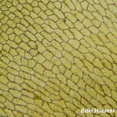 BRESSER | Biolux Touch LCD Mikroskop | HDMI | 30–1125x