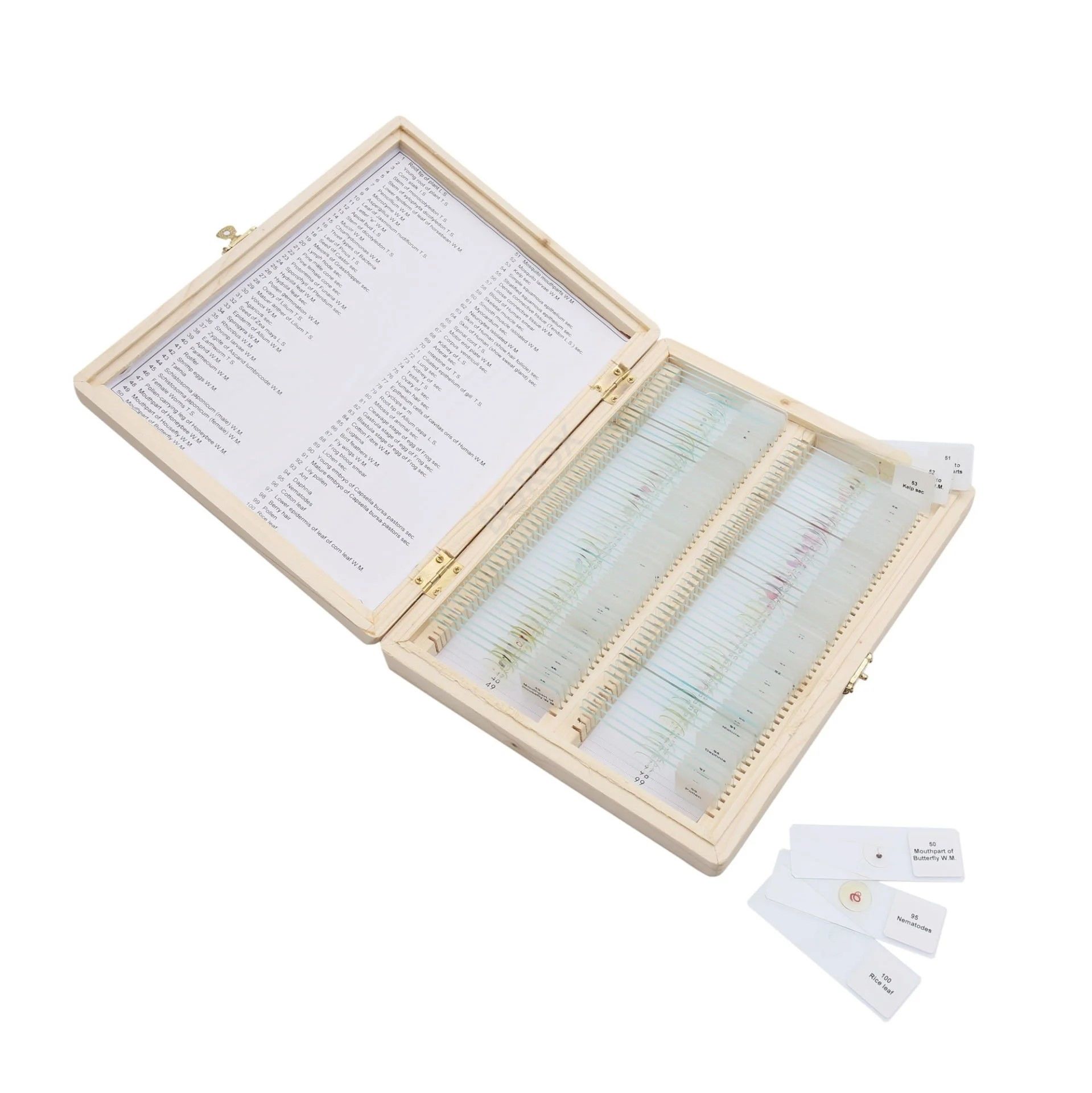 Mikroskop Slayt Seti | Ahşap Kutulu Preparat Set | 100 Slayt
