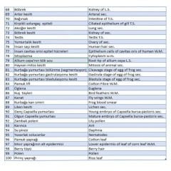 Mikroskop Slayt Seti | Ahşap Kutulu Preparat Set | 100 Slayt